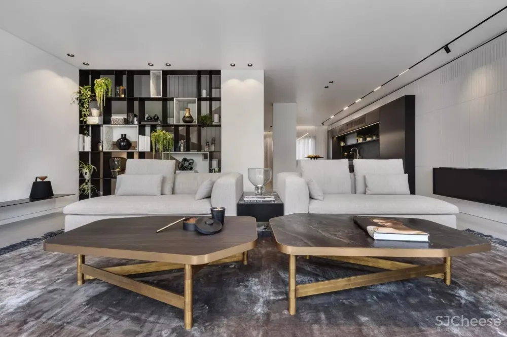 黑白灰品质感大宅 Aviram Kushmirski