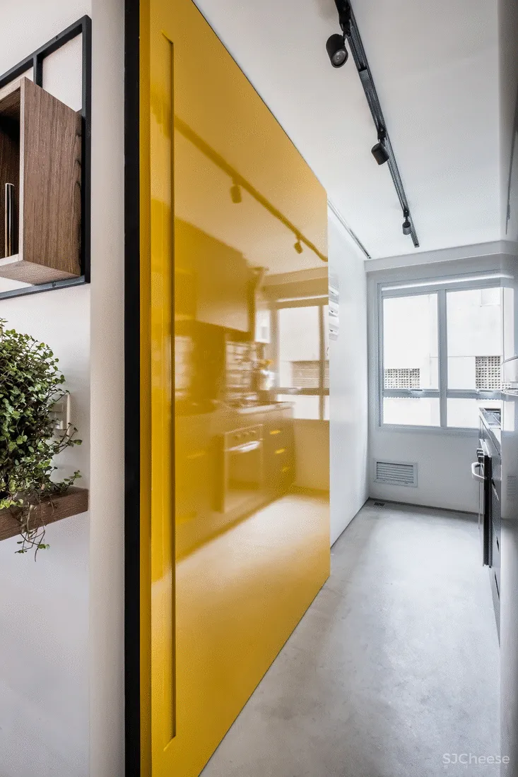 圣保罗一位年轻单身汉的49㎡现代风小公寓 Rafael Zalc