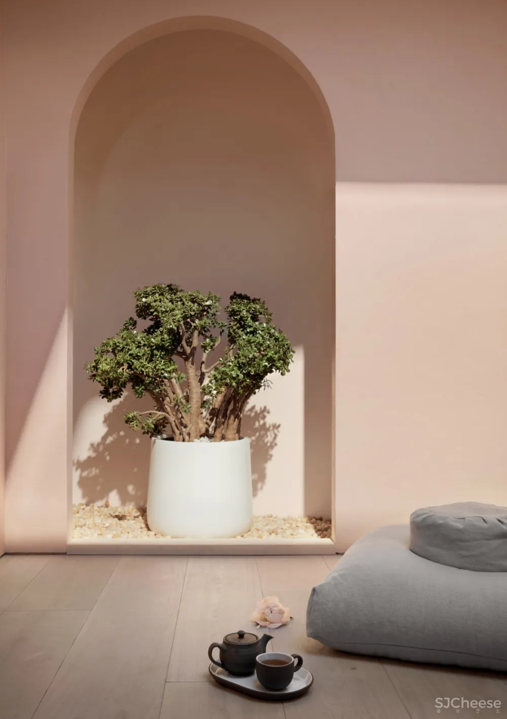 纽约Standard Dose医用CBD商店 Anthony Saniger