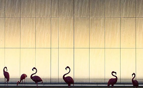 华润揭阳榕江悦府销售中心 矩阵纵横