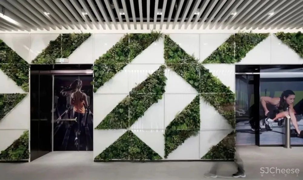 新作 | 复星集团 · BFC 外滩金融中心空中健身会所 · 连自成重磅新作