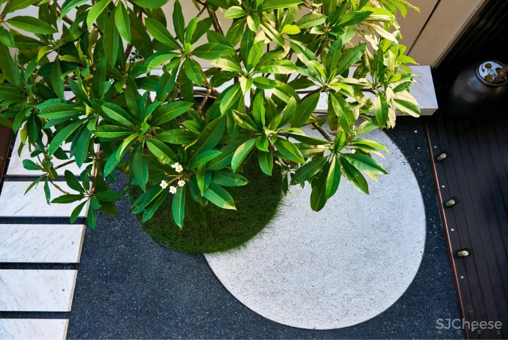 海边的诗意人生|一庭一风景,一院一世界