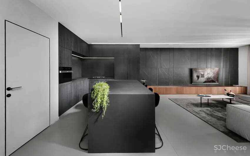 黑白都会风!耶路撒冷76m²极简风公寓 Erez Hyatt