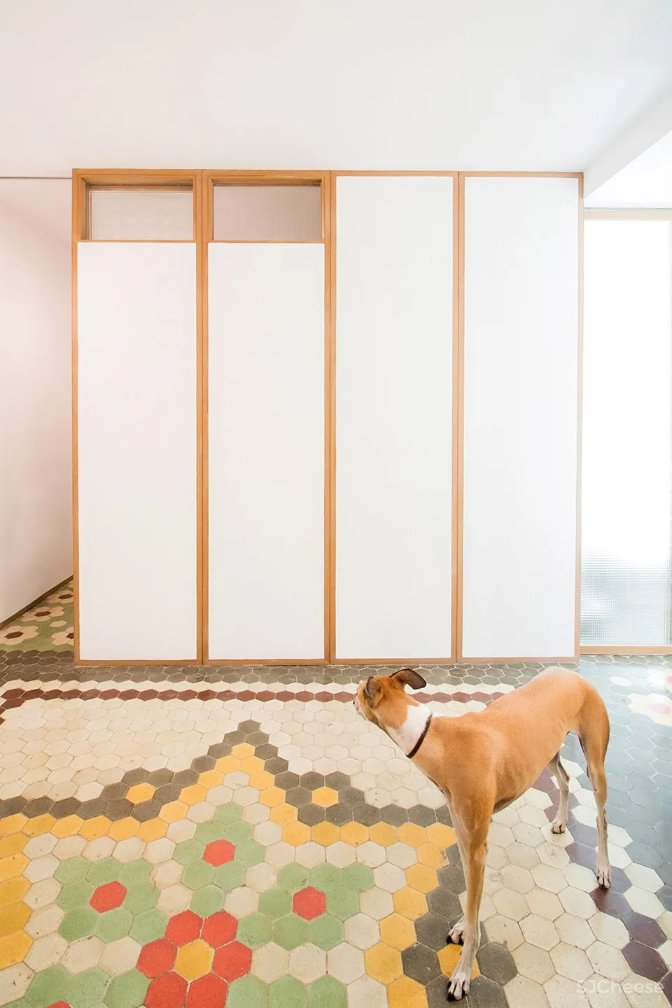 Duro-Babiano公寓改造，马德里 / rubial sanchez