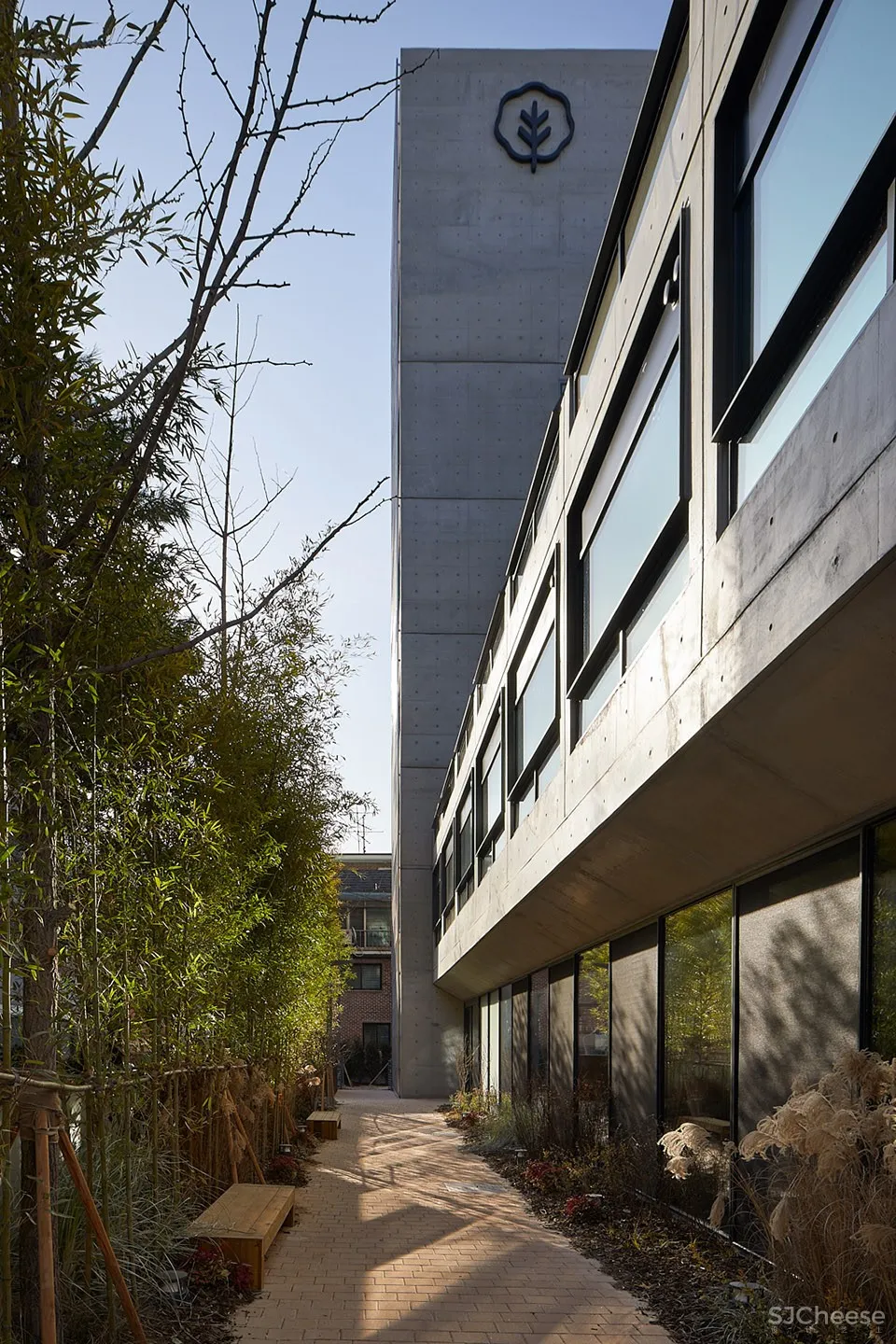 Treehouse青年共享公寓，首尔 / Bo-da Architecture