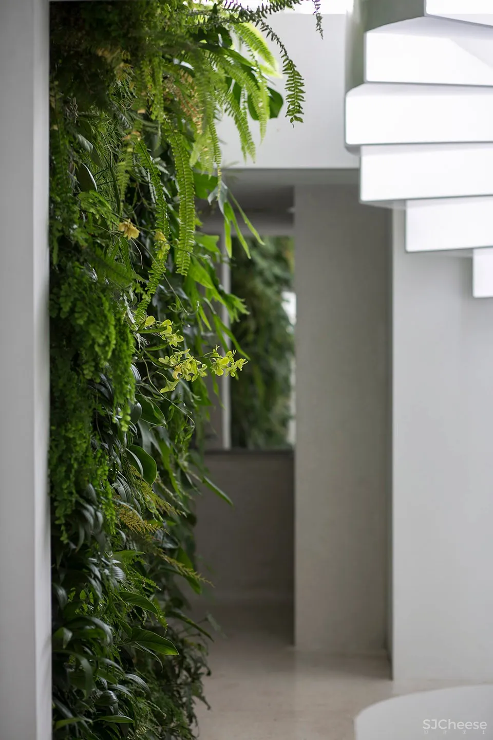 新作 | 建筑营设计工作室:北京 镜花园