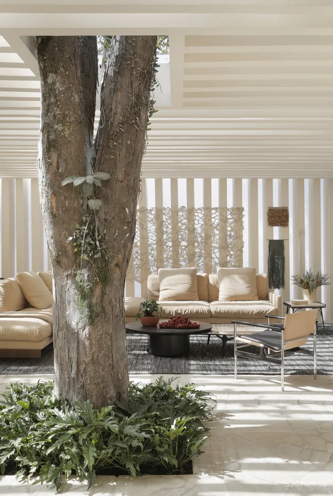 Studio Otto Felix | 巴西Sibipirunas有机别墅