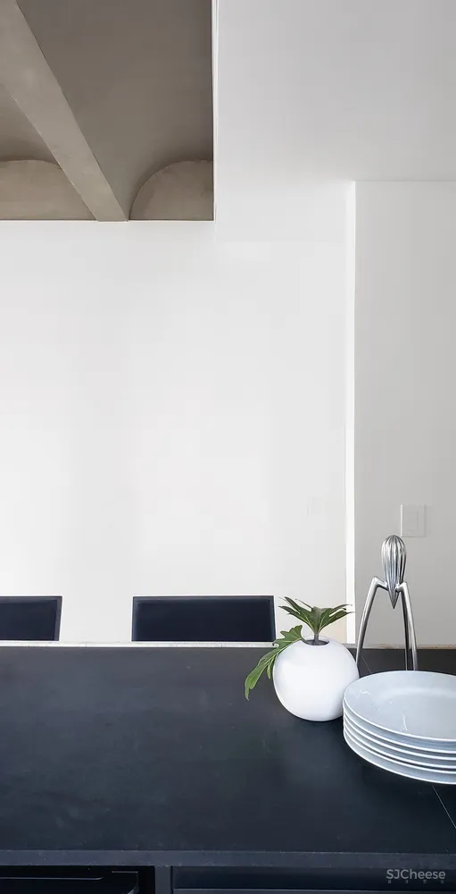 STUDIO LIM | 圣保罗20世纪野性主义公寓翻新