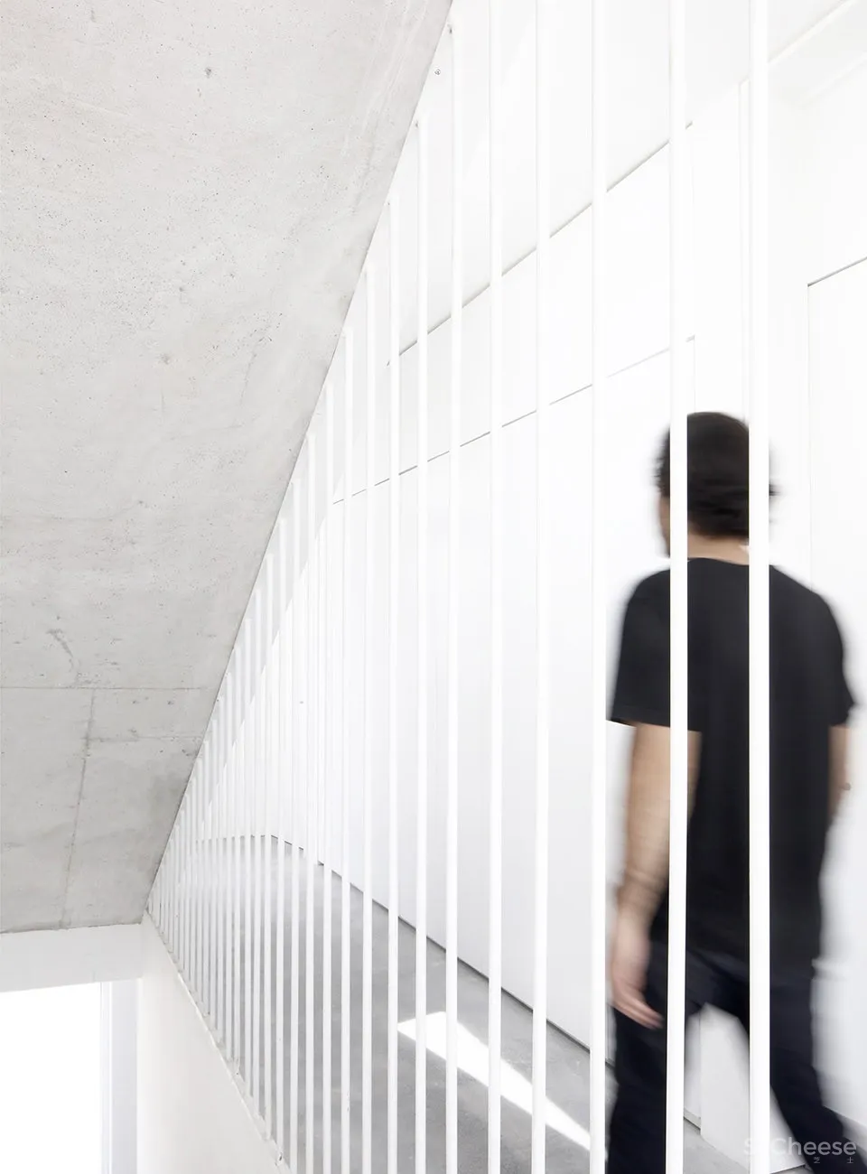 CV住宅,墨西哥 / S-AR + Carlos Valdez