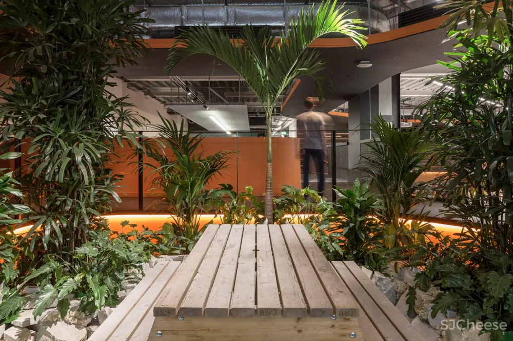 ODOS Architects:爱尔兰 Rothco公司新办公室