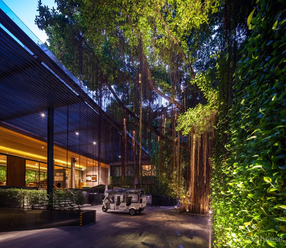 Ad Lib酒店庭院，曼谷 / T.R.O.P: terrains+open space