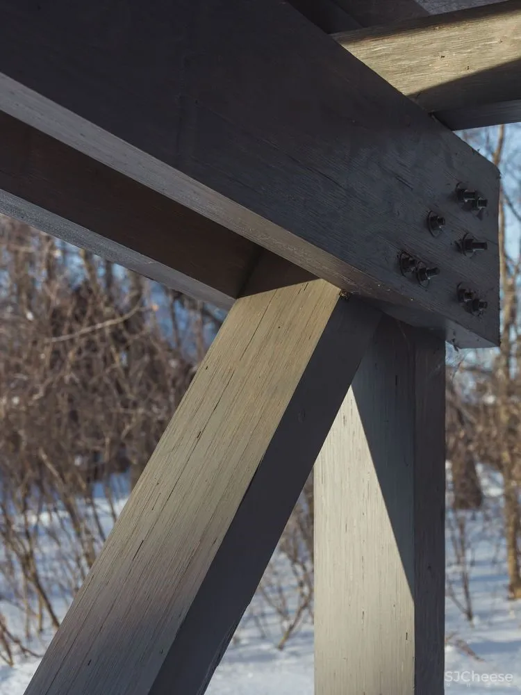 踏出舒适区,凌驾于自然之上的桥之宅 / BIO-architects