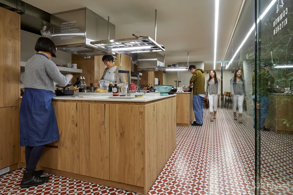 Treehouse青年共享公寓，首尔 / Bo-da Architecture