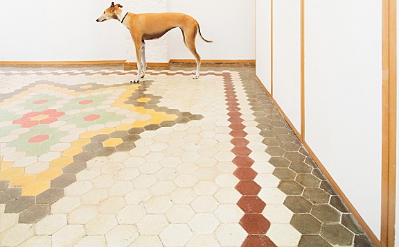 Duro-Babiano公寓改造,马德里 / rubial sanchez