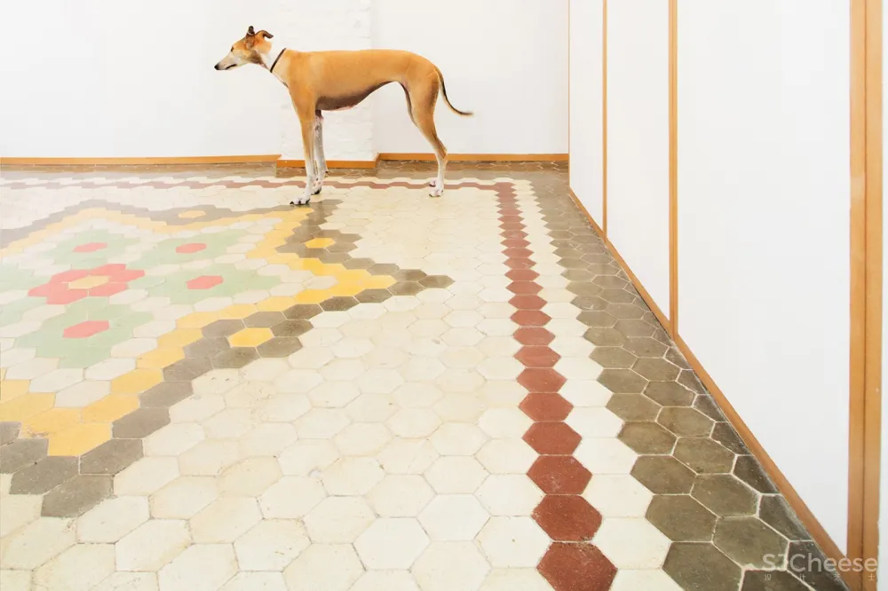 Duro-Babiano公寓改造，马德里 / rubial sanchez