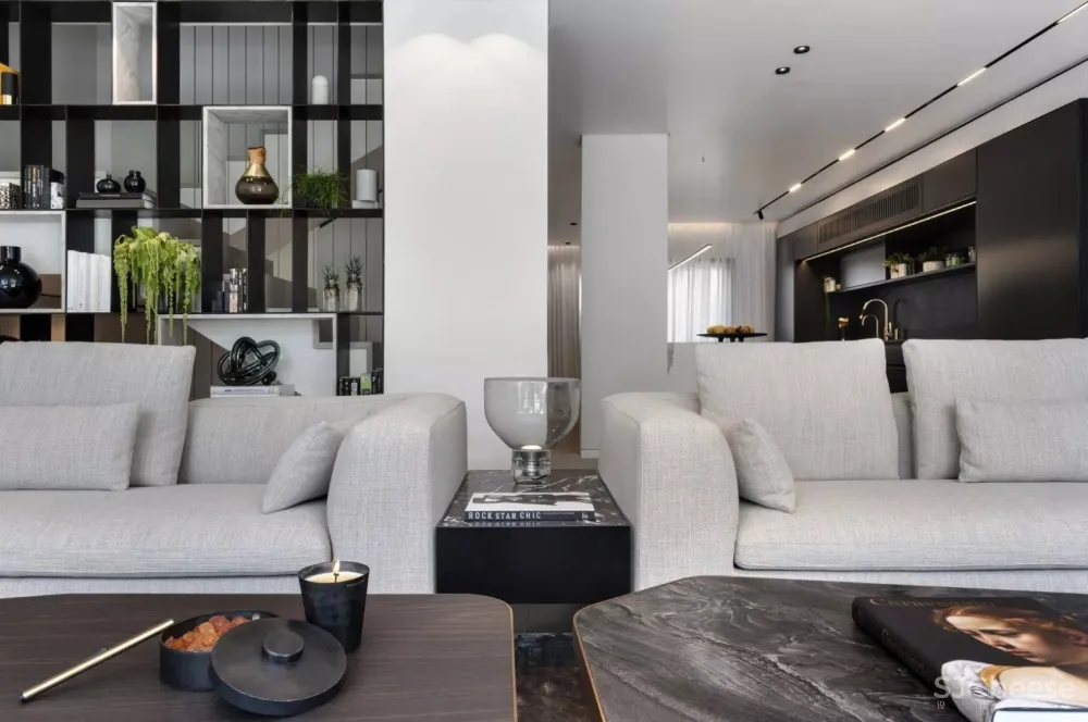 黑白灰品质感大宅 Aviram Kushmirski