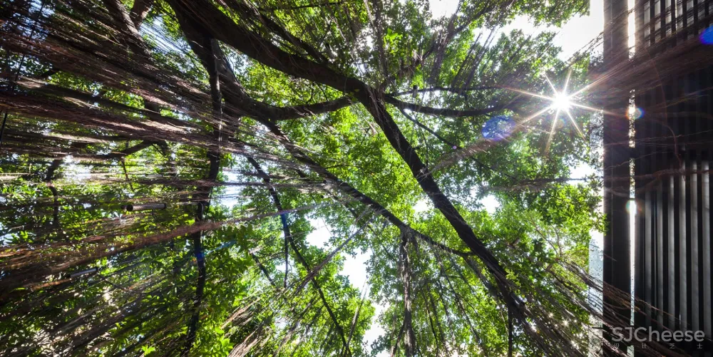 Ad Lib酒店庭院，曼谷 / T.R.O.P: terrains+open space