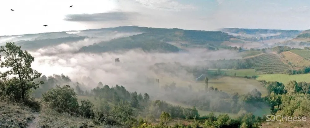 顶级设计丨总有独特的品味