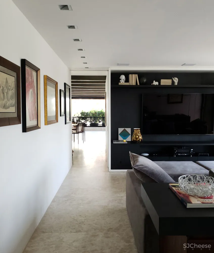 STUDIO LIM | 圣保罗20世纪野性主义公寓翻新