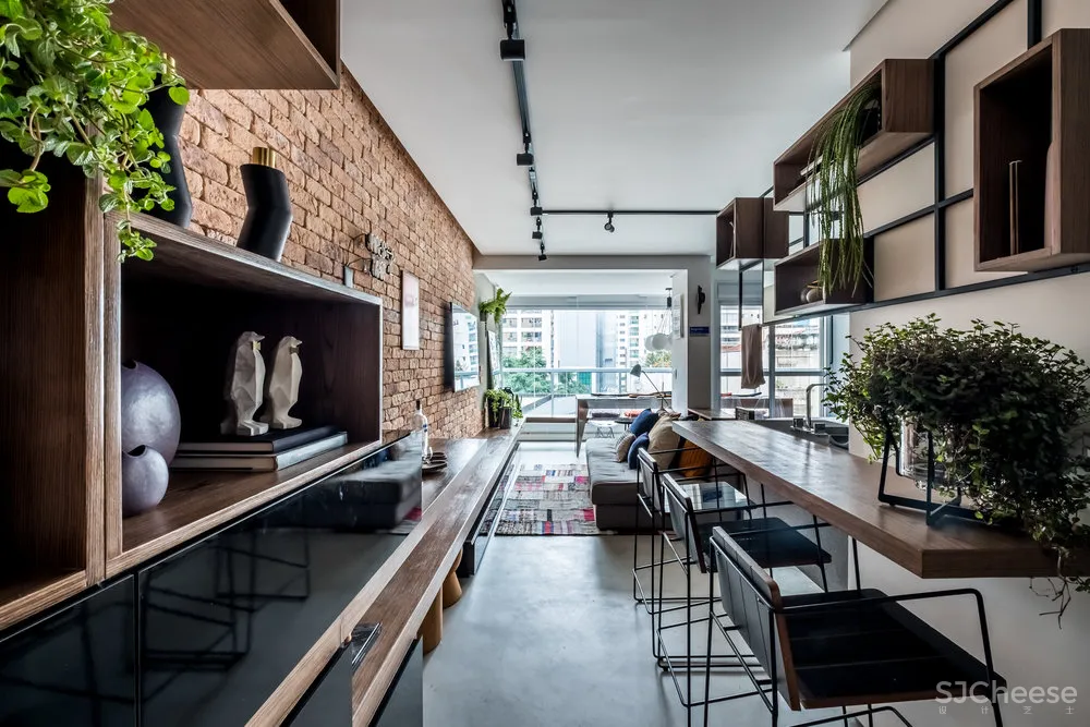 圣保罗一位年轻单身汉的49㎡现代风小公寓 Rafael Zalc