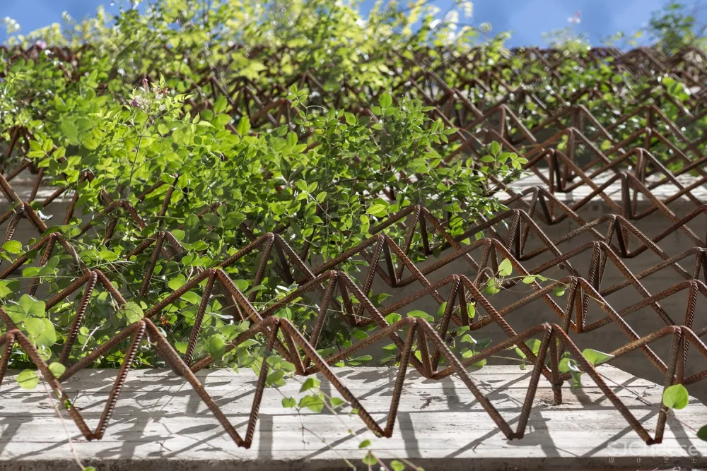 斯科特住宅 / BAAG