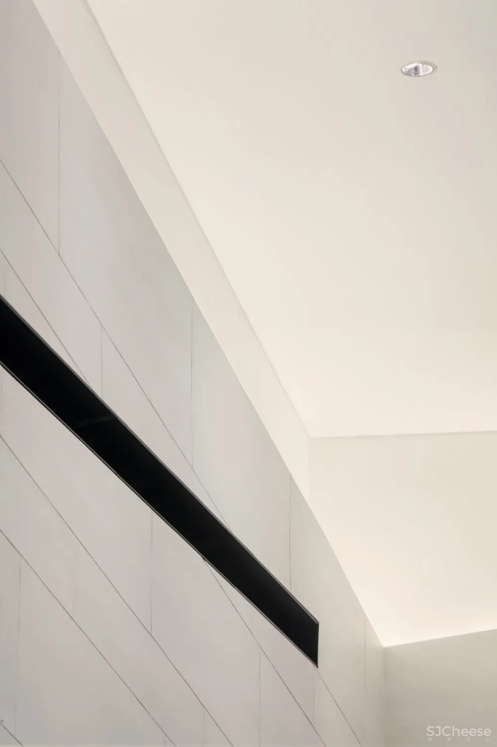 【PAL梁景华最新力作】设计师以“纯粹“为主题丨还原空间最真实的状态