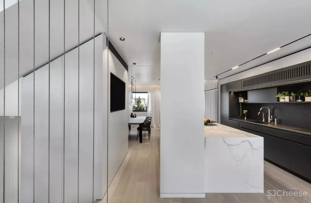 黑白灰品质感大宅 Aviram Kushmirski