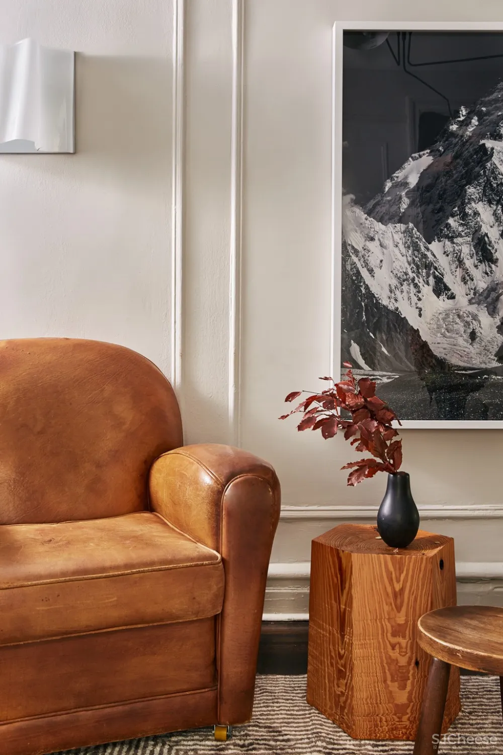 Tali Roth | 非凡的时尚设计