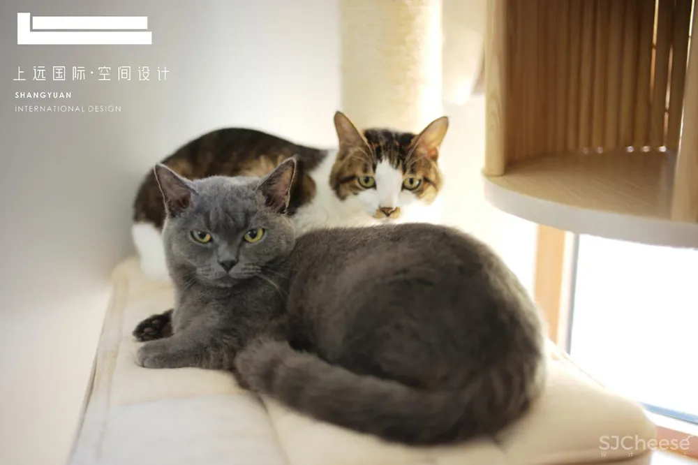 轻时光…长沙300㎡别墅 上远国际设计