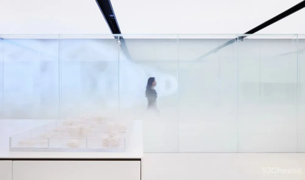 共生形态 | 极具戏剧的设计分寸