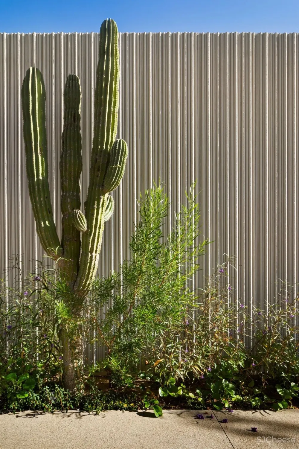 真正奢华的设计丨懂得如何亲近自然