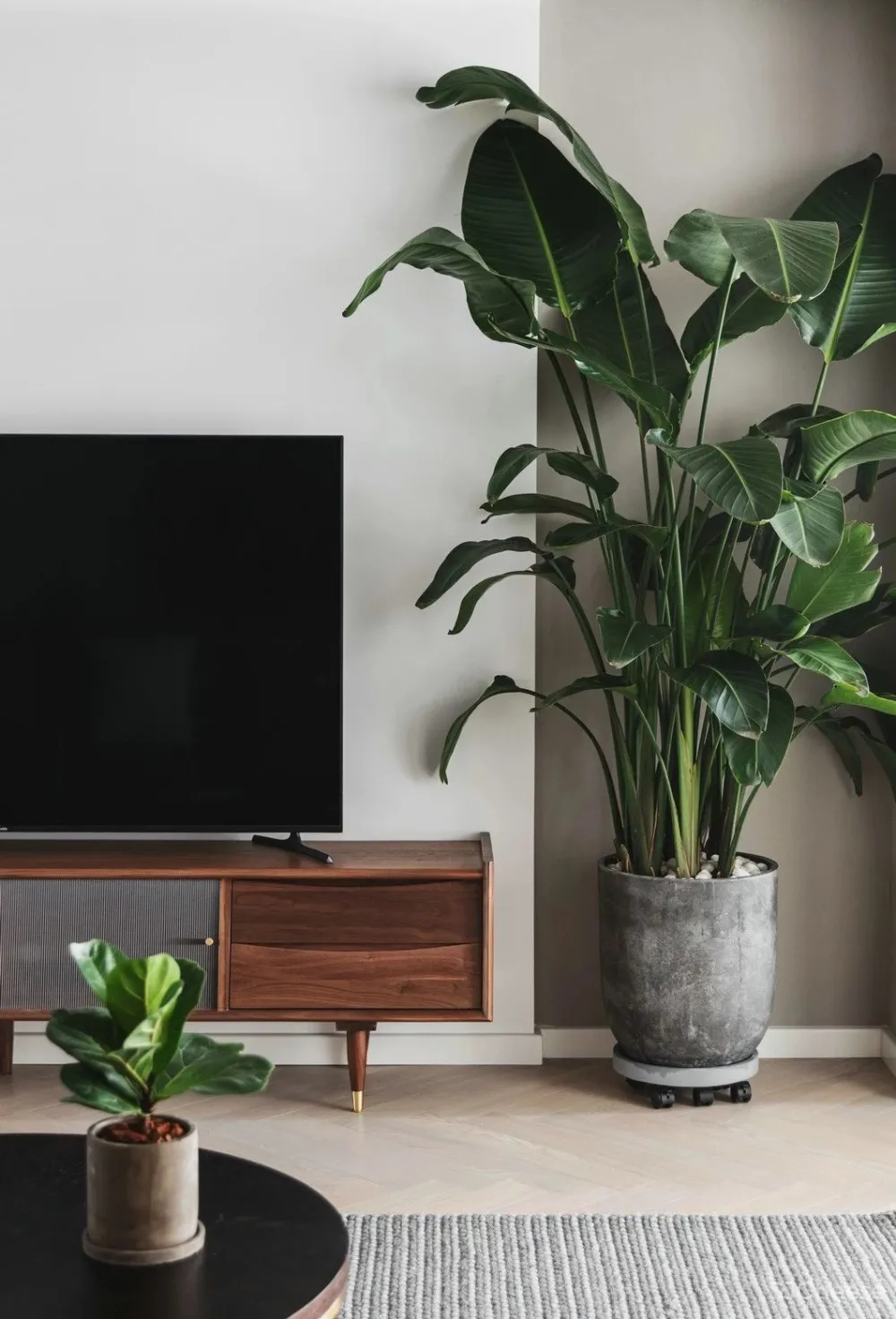 165㎡里的爱情故事/吹着海风/看看电影/沉浸于两个人的浪漫