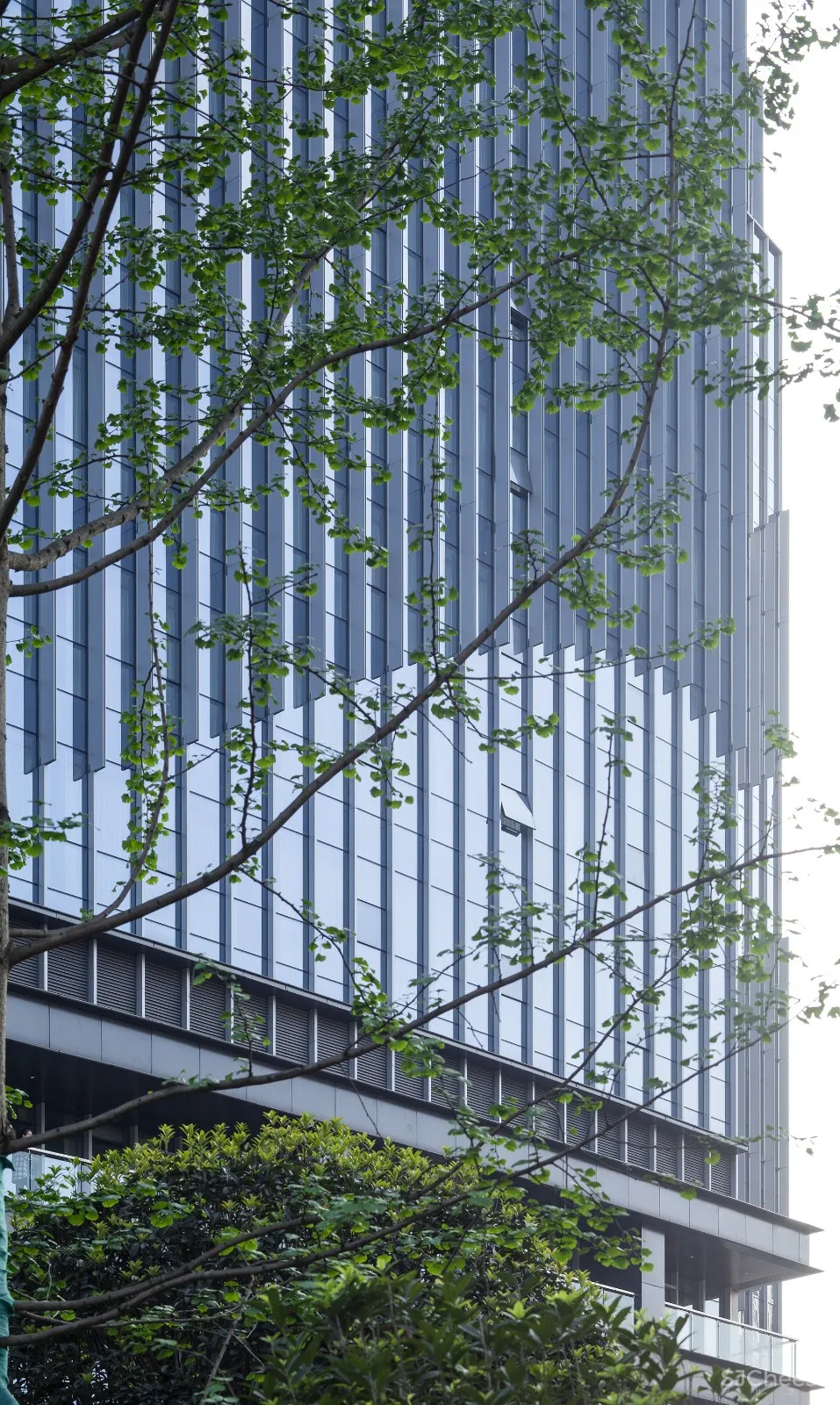 予舍予筑案例 | 远山如黛 近水如烟