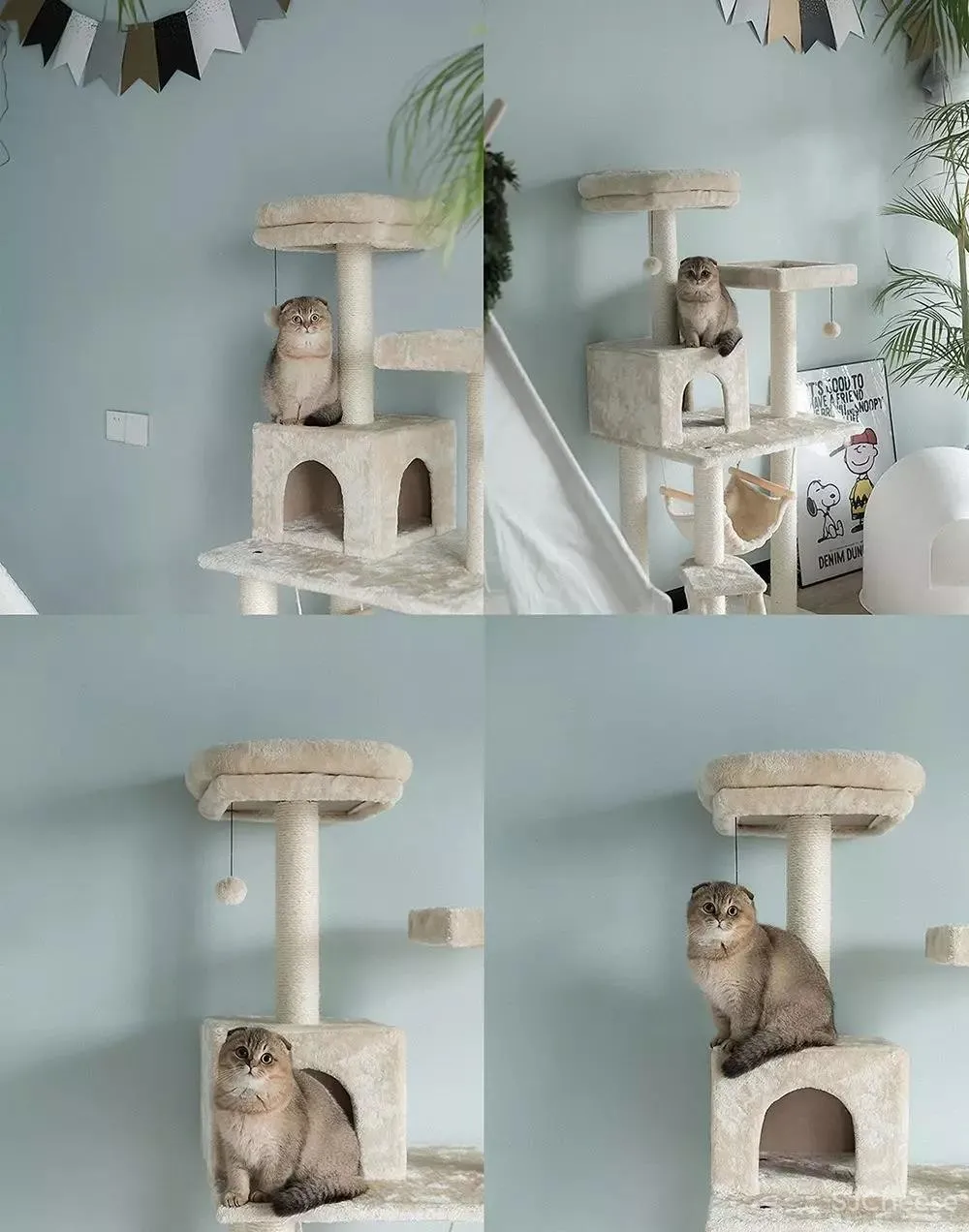 吾隅设计 | 你还敢再“色”一点吗？设计师！