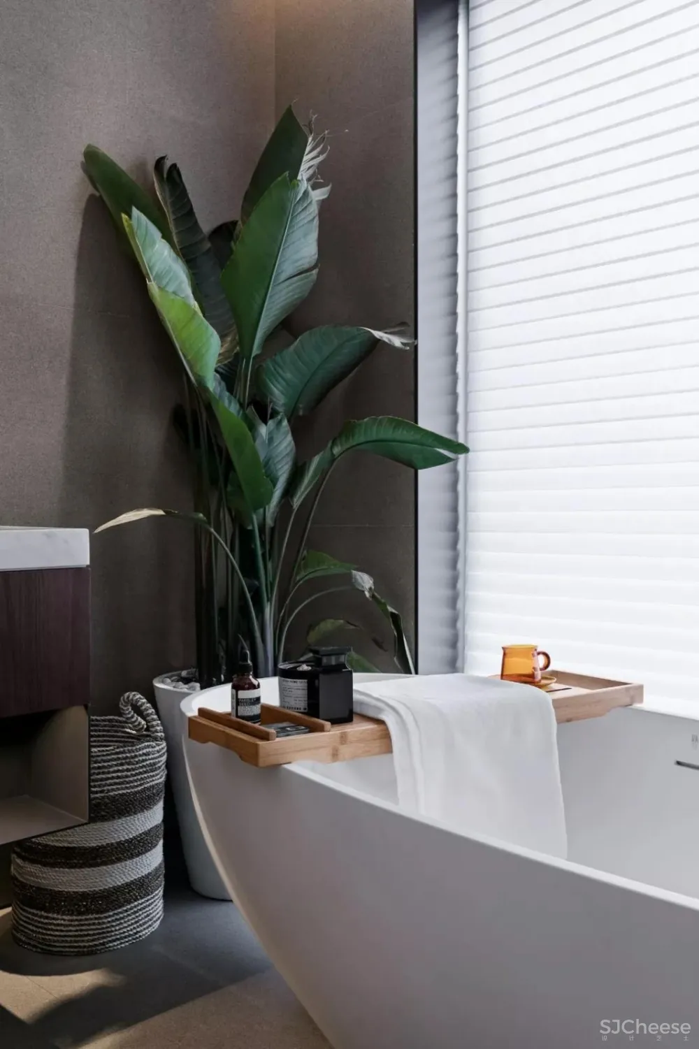 LSD | 寻找向心而生的唯一解