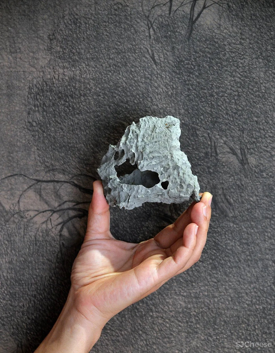 新作 | 造园工作室:杭州 小洞天