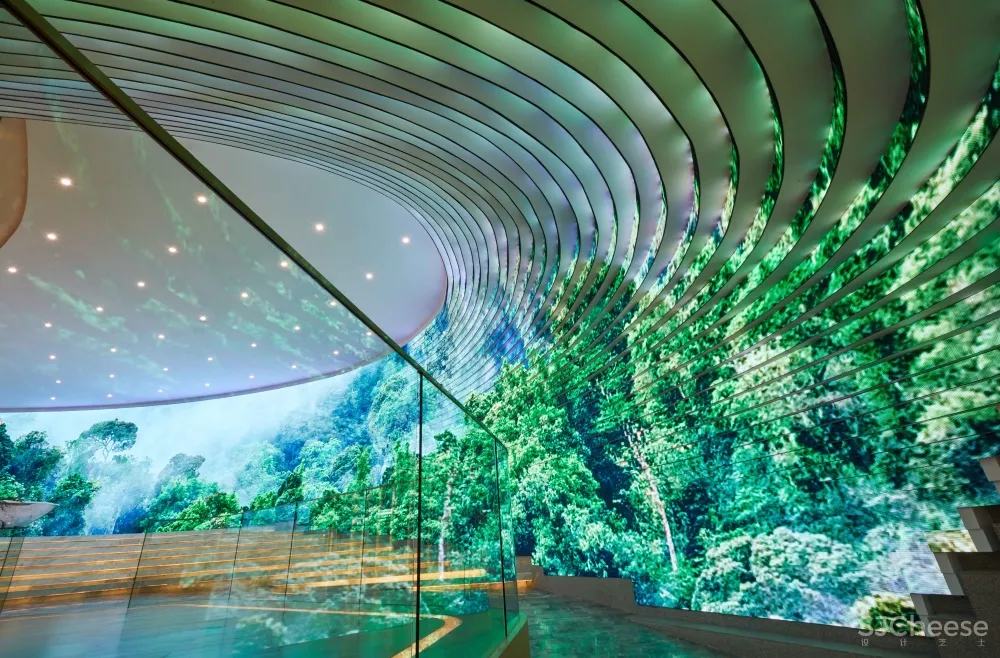 SODA Architects | 南京一闲置地下车库改造设计