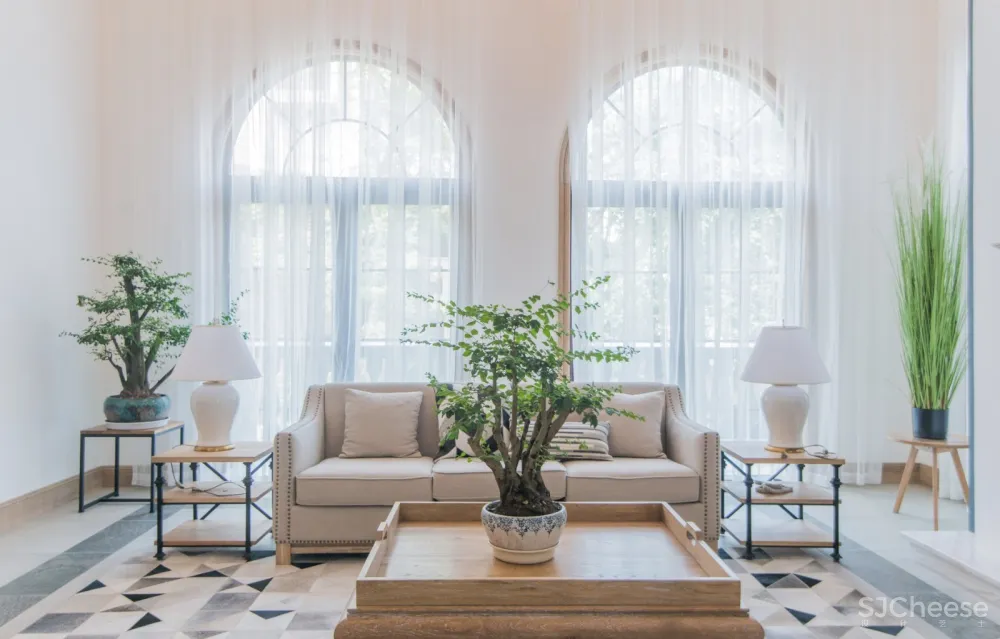 进 化 | 第七个故事