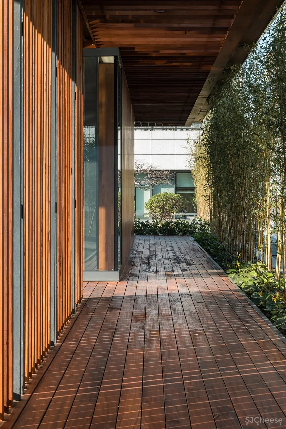 新作 | 致正建筑工作室:上海 屋上三间