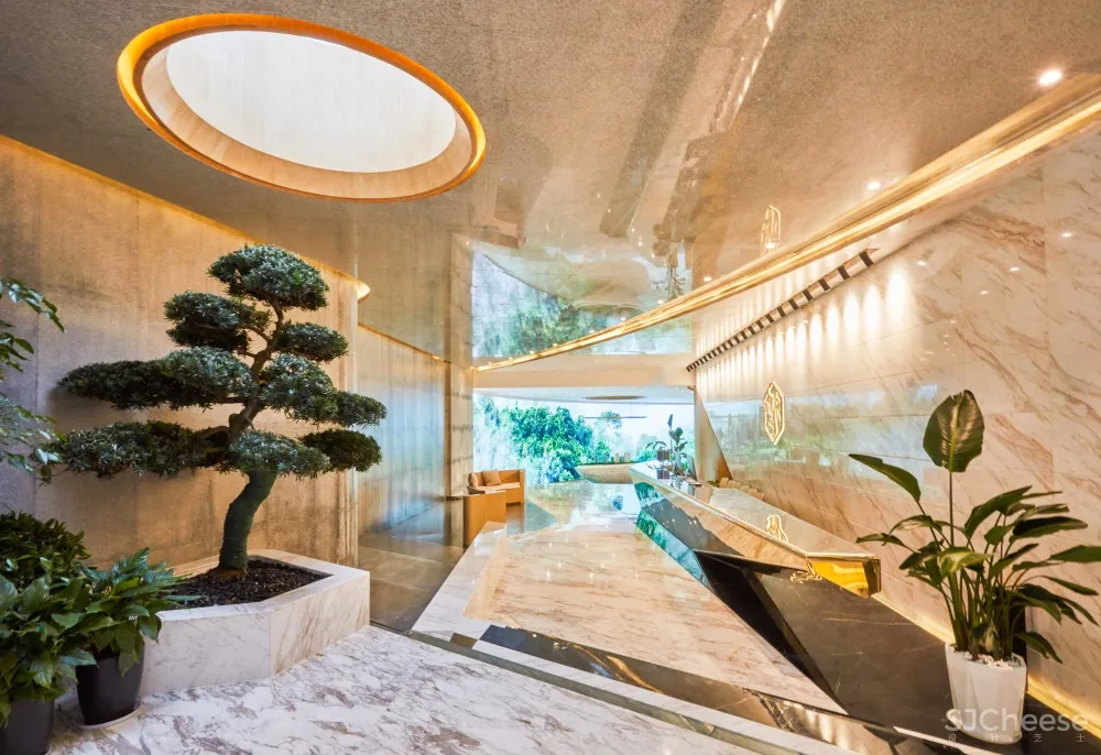 SODA Architects | 南京一闲置地下车库改造设计