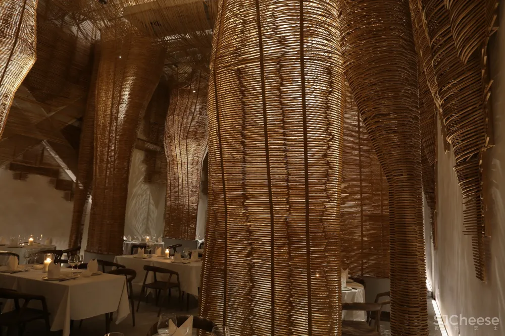 万物生长 Growing of Things