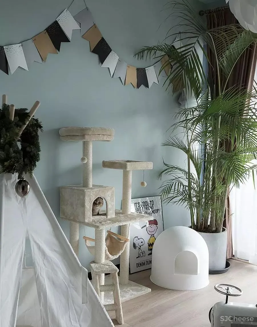 吾隅设计 | 你还敢再“色”一点吗？设计师！