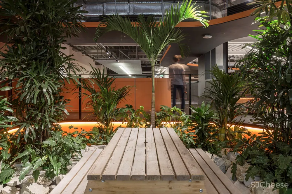 Rothco公司新办公室,爱尔兰 / ODOS Architects