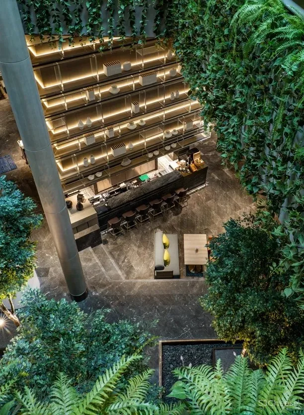 CCD | 深圳南山博林天瑞喜来登酒店