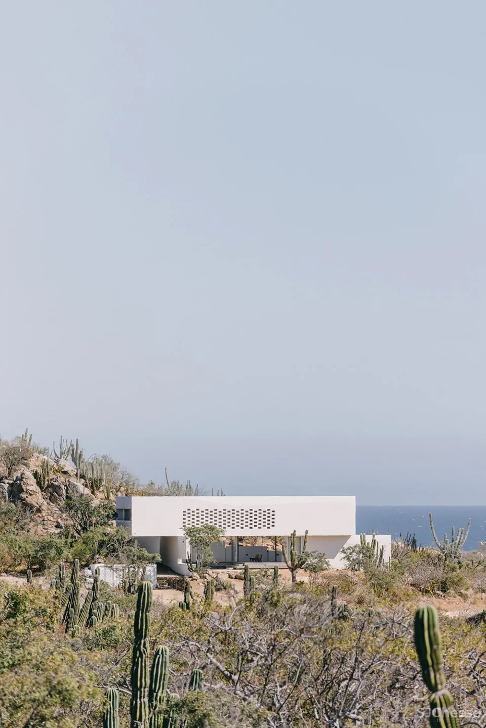 新作 | Campos Studio:墨西哥 Zacatitos 04住宅