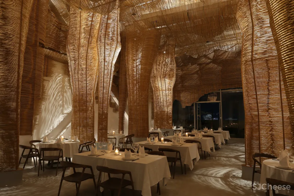 万物生长 Growing of Things