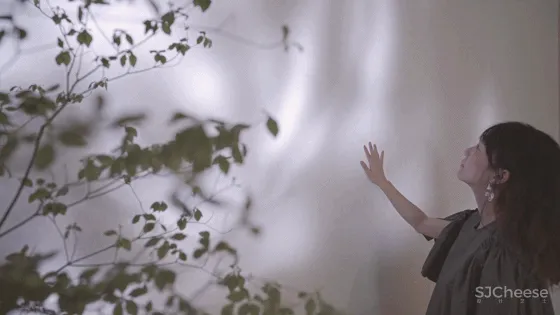 新作 | 厦门喜茶:山之朴拙、茶之简素,构建意境之美!