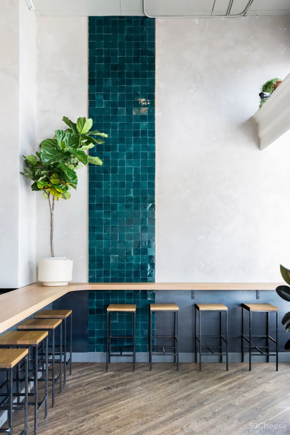 首发 | ROY工作室:几何灯光,热带木材和绿色植物的旧金山埃尔达酒吧