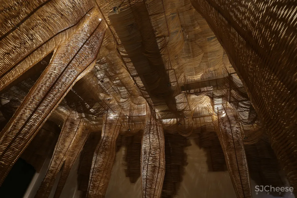 万物生长 Growing of Things