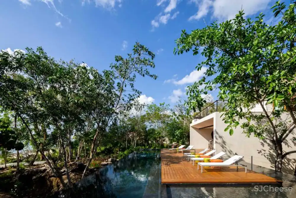 Sordo Madaleno | 墨西哥COZUMEL海岛别墅